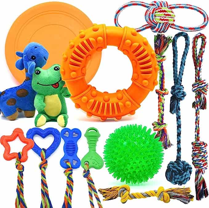 Legend Sandy dog toy set