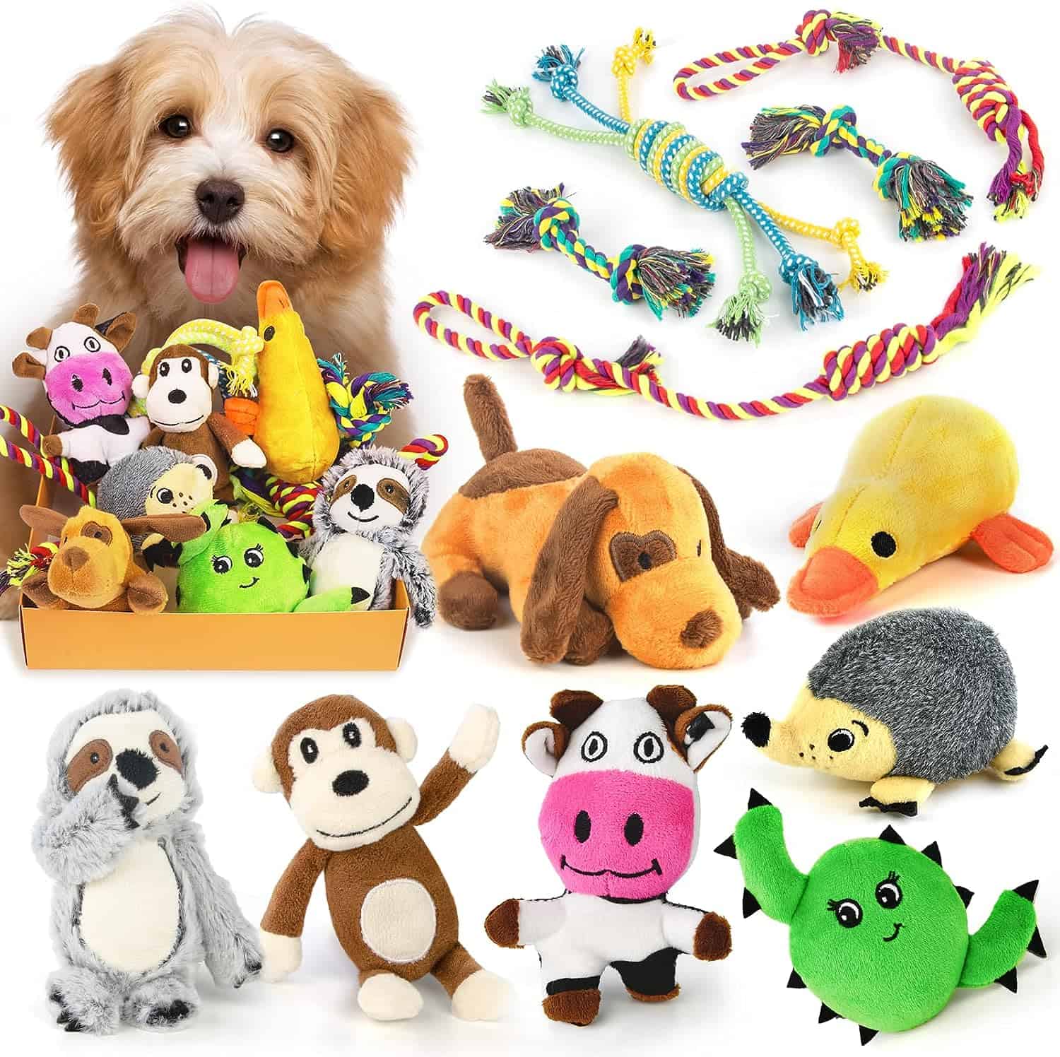 Legend Sandy squeaky dog toy set