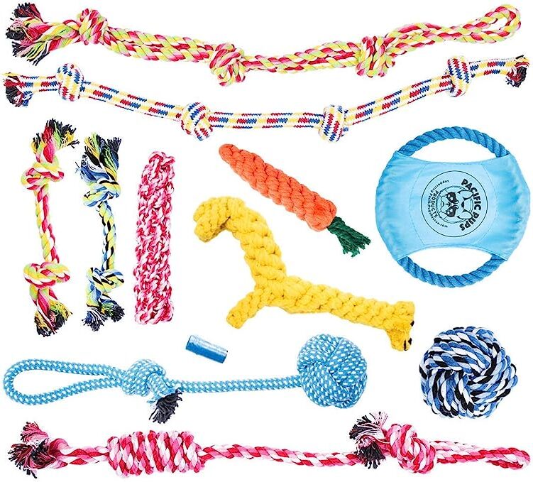 pacific pups 11 piece dog toy set