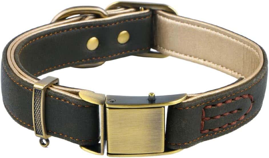 Chede Basic Classic Luxury Padded Leather Dog Collar - dark brown