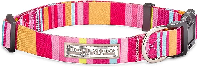 Lucky Love dog collar