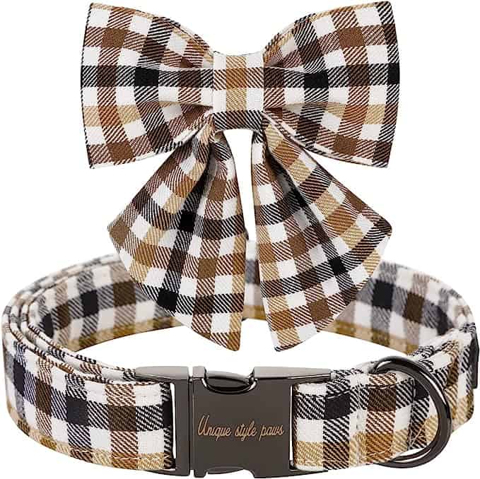 Unique Style Paws dog collar - brown